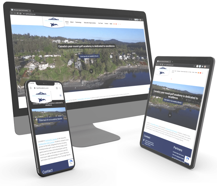 VI Golf Academy website design