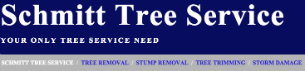 Tree Services Little Rock Sherwood Jacksonville Cabot Maumelle